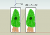 tree_tutorial1.jpg